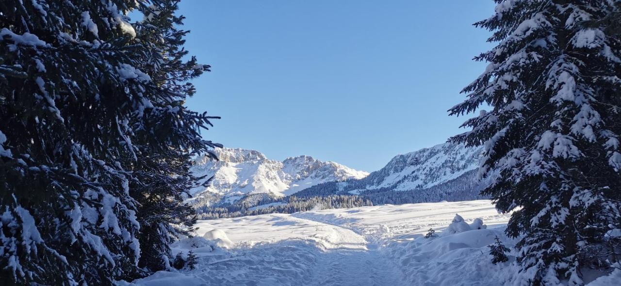 Appartement Trilocale Mansardato Nel Cuore Della Val Di Fiemme à Ziano di Fiemme Extérieur photo