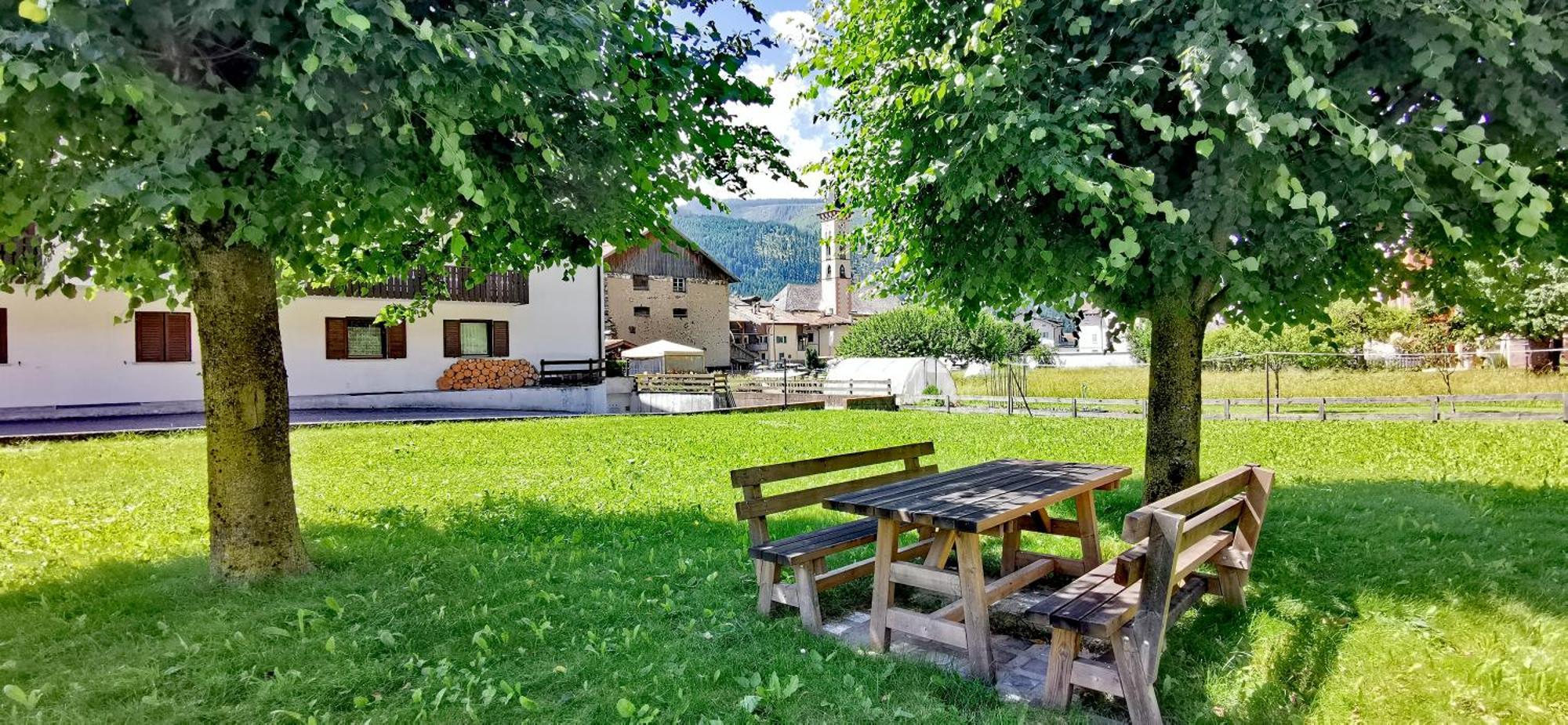 Appartement Trilocale Mansardato Nel Cuore Della Val Di Fiemme à Ziano di Fiemme Extérieur photo